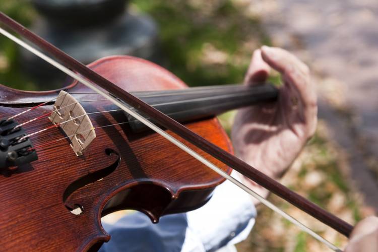 Virginia Symphony Orchestra Concert in the Park